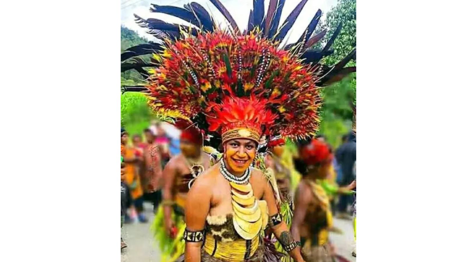 Cultural Shows