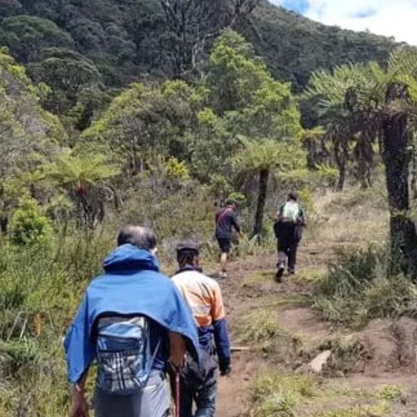 Trekking